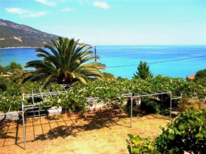 Hotel Kinira